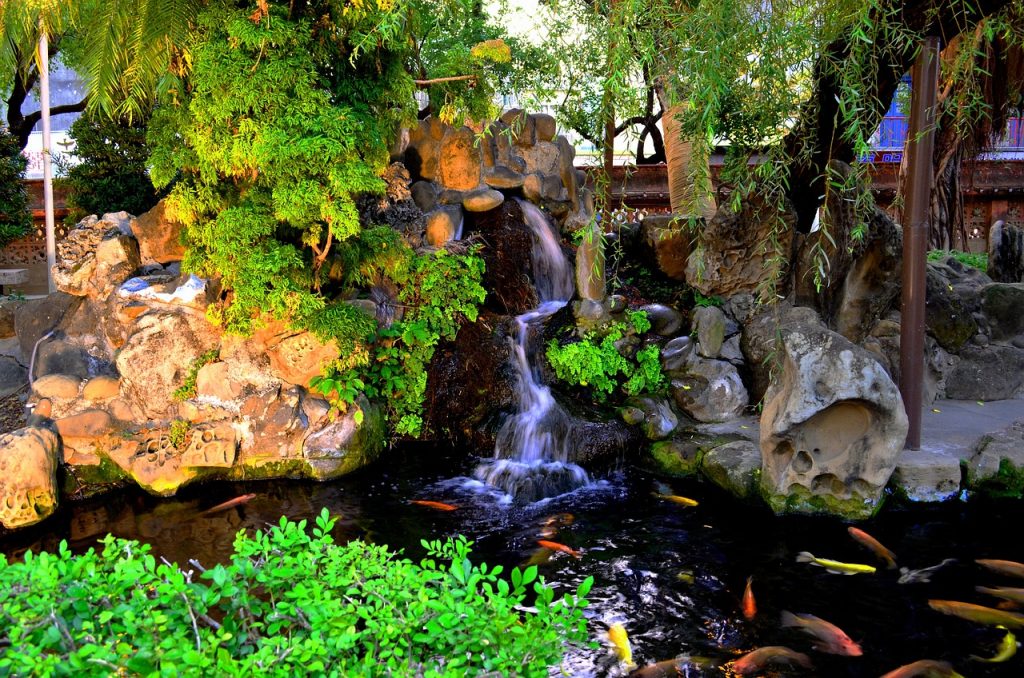 Créer un bassin de jardin pour Une oasis de tranquillité chez vous