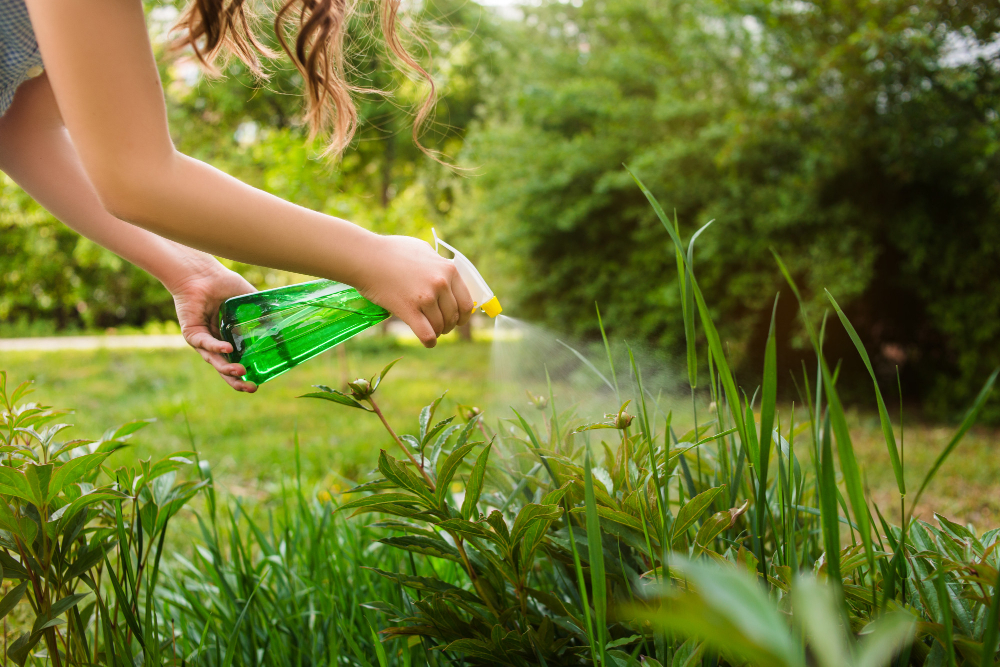 Des astuces pour venir à bout de la mousse dans votre jardin.jpg