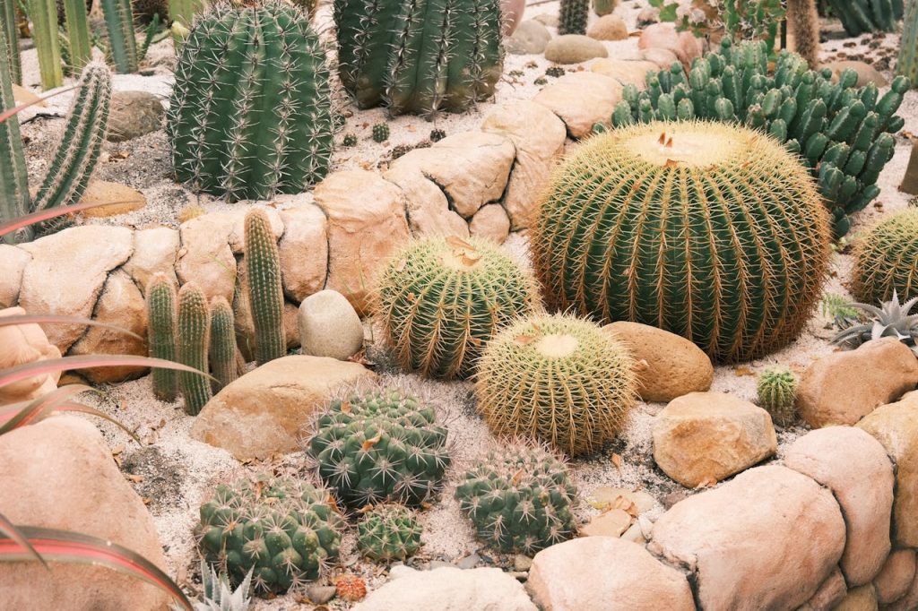 Les clés pour créer facilement une rocaille réussie dans votre jardin