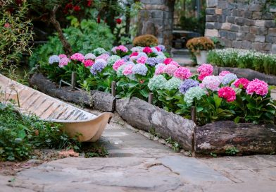 construire facilement un lit de jardin surélevé