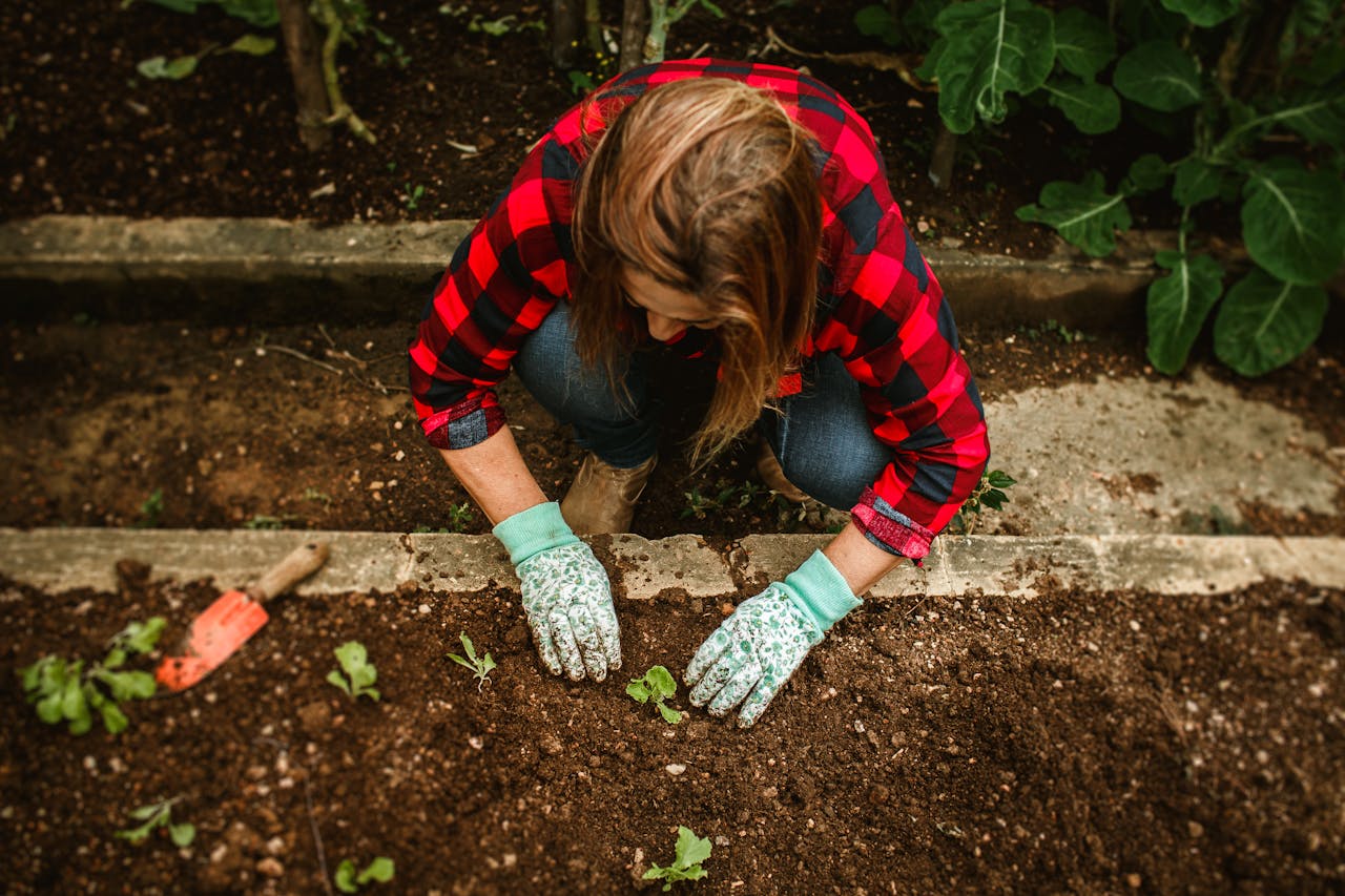 construire un lit de jardin surélevé