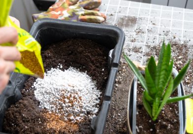 fabriquer un engrais naturel maison pour un jardin florissant
