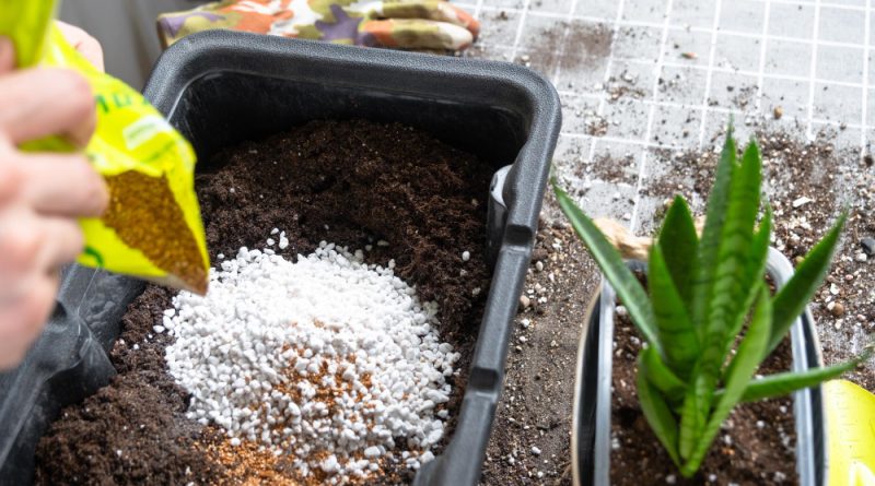 fabriquer un engrais naturel maison pour un jardin florissant