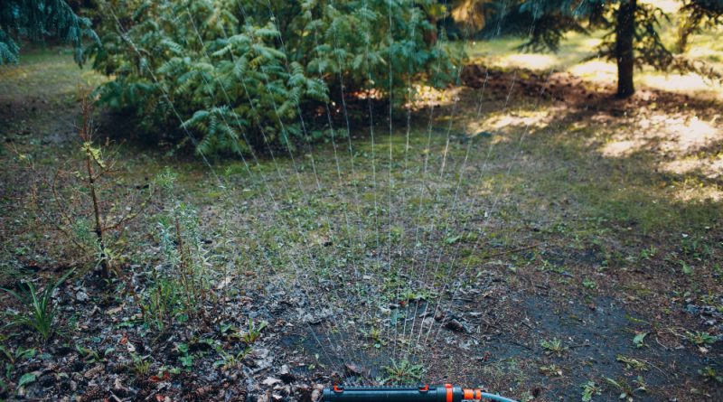 installer un système d’arrosage automatique pour un jardin toujours parfait