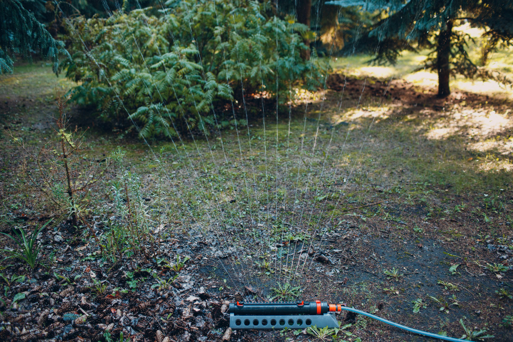 installer un système d’arrosage automatique pour un jardin toujours parfait